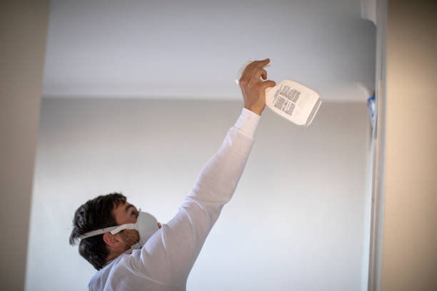 Best Fast Mold Removal  in Wellington, KS