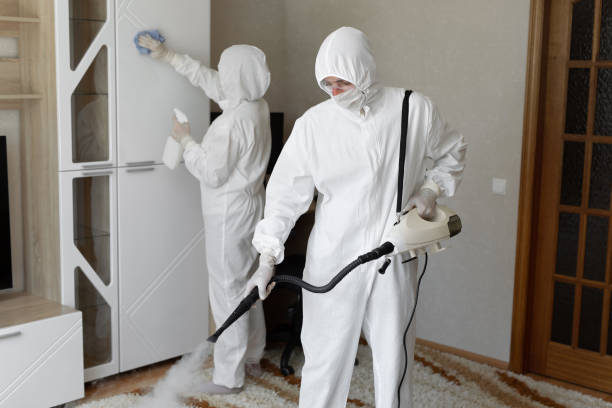 Best Mold Inspection  in Wellington, KS