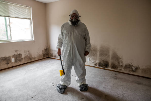 Best Emergency Mold Removal  in Wellington, KS